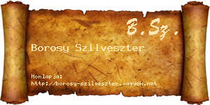 Borosy Szilveszter névjegykártya